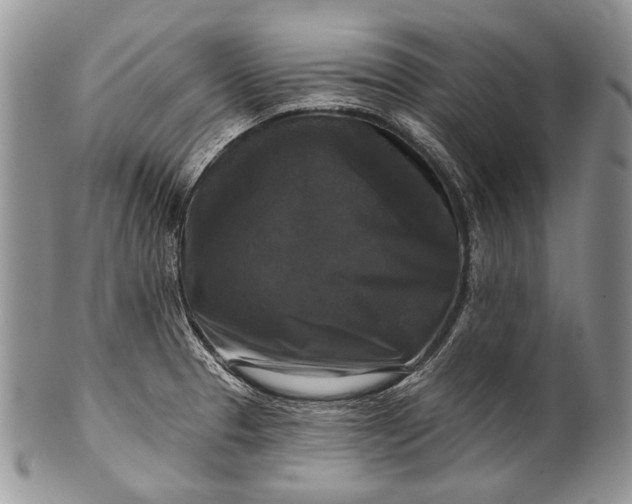 X0000100371329200806201618