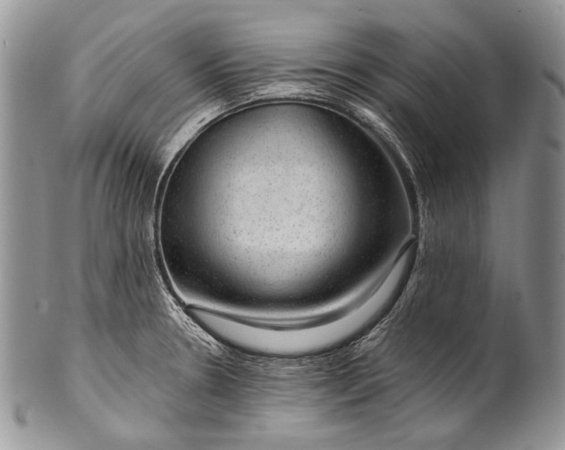 X0000100371330200806201618