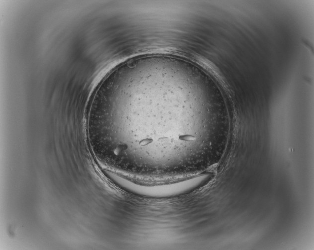 X0000100371332200806201618