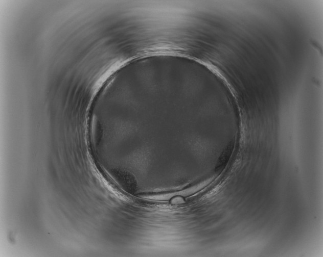 X0000100371333200806201618