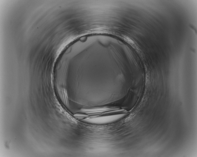 X0000100371334200806201619