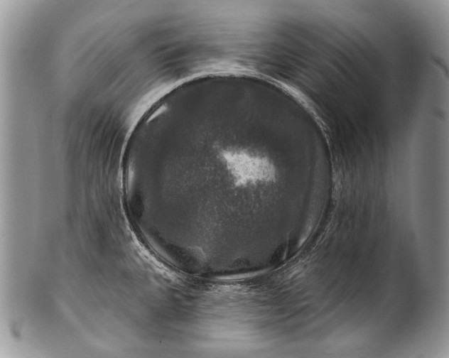 X0000100371335200806201619