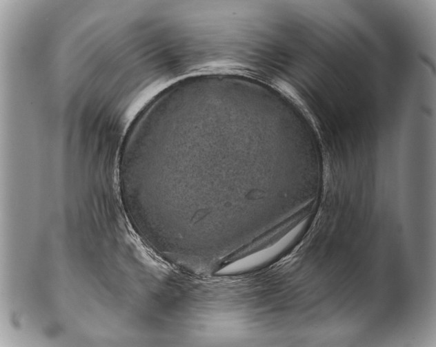 X0000100371336200806201619