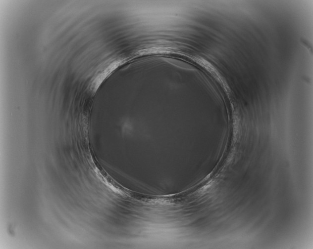 X0000100371337200806201619