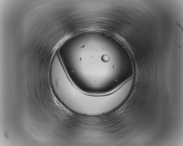 X0000100371338200806201619