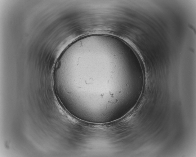 X0000100371341200806201619