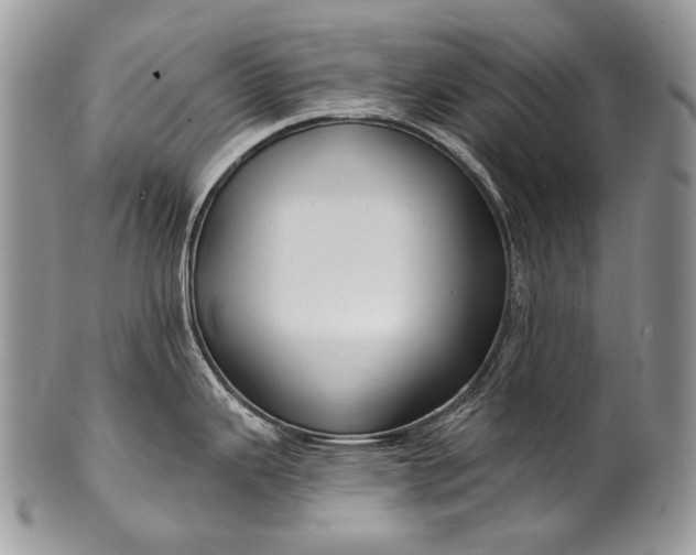 X0000100371343200806201619