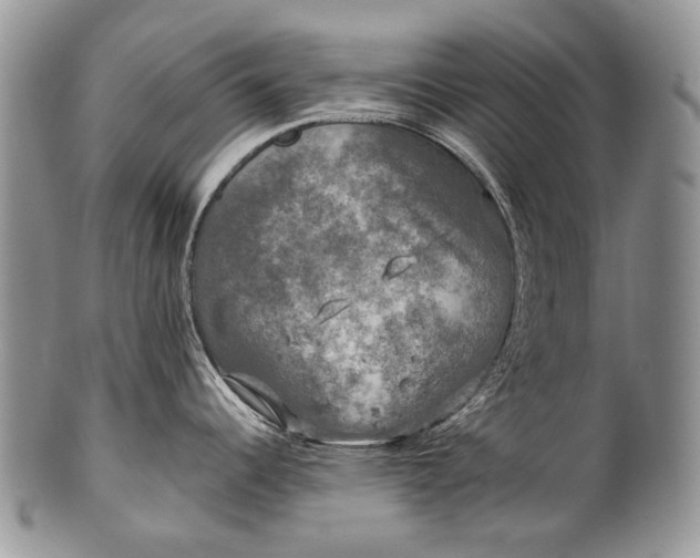 X0000100371344200806201619