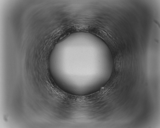 X0000100371345200806201618