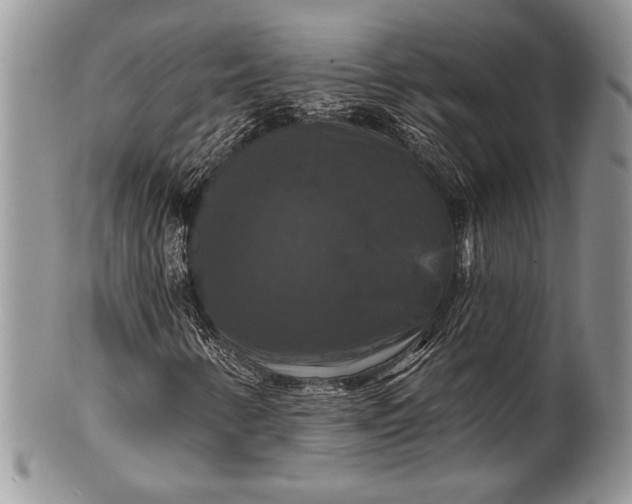 X0000100371346200806201618