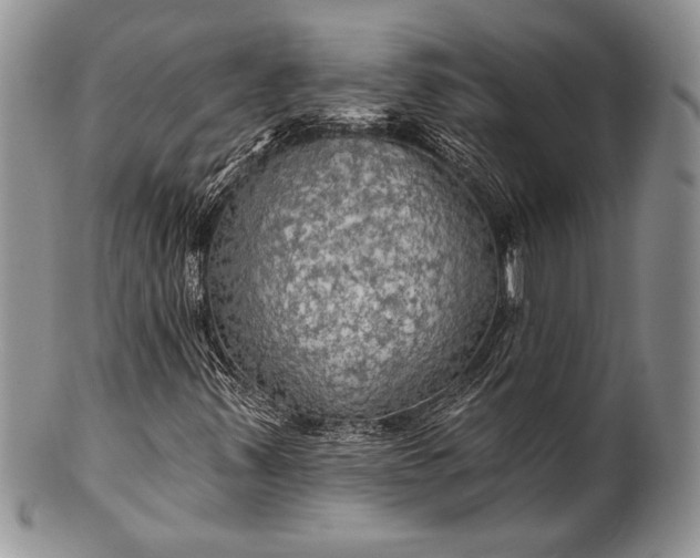 X0000100371347200806201618