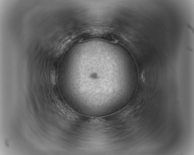 X0000100371348200806201618