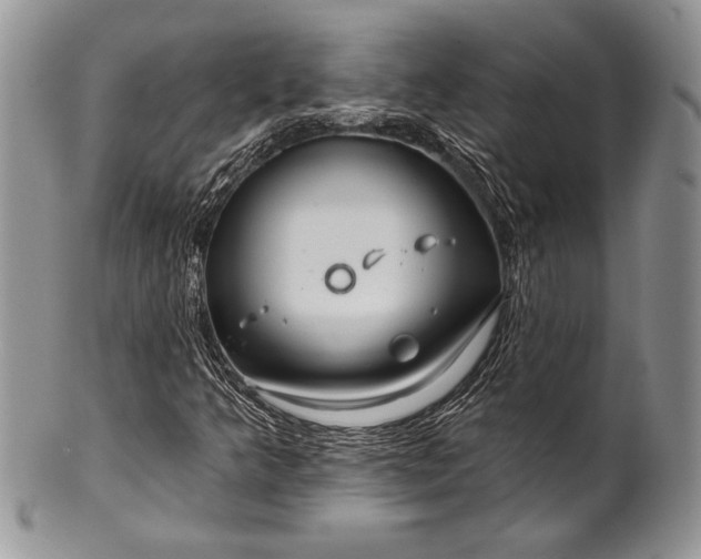 X0000100371349200806201618