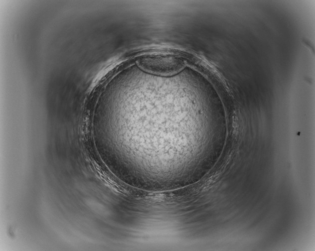 X0000100371352200806201618