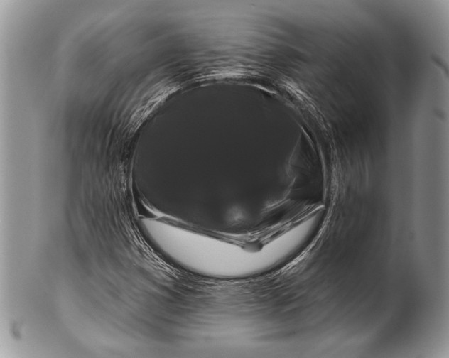 X0000100371353200806201618