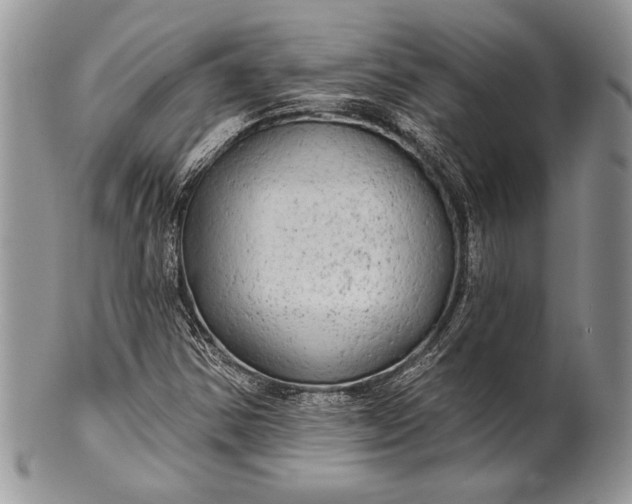 X0000100371354200806201618