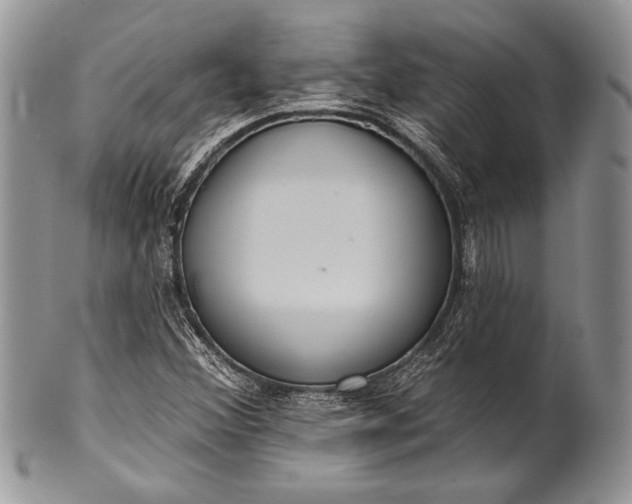 X0000100371356200806201618