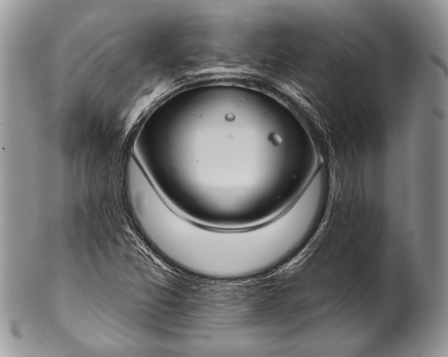 X0000100371357200806201618