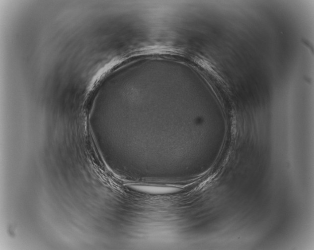 X0000100371358200806201618