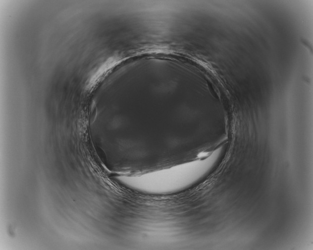 X0000100371359200806201618