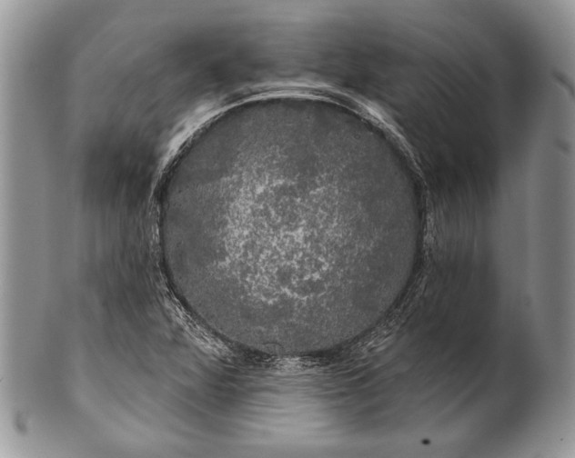 X0000100371360200806201618