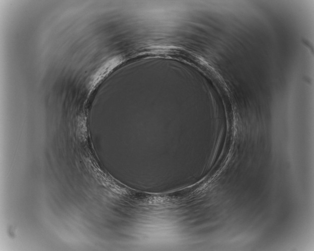 X0000100371362200806201618