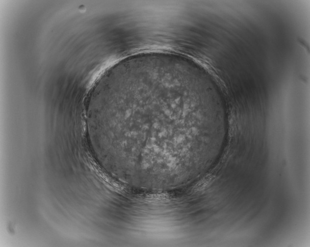 X0000100371363200806201618