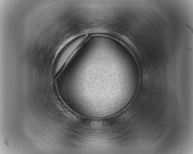 X0000100371364200806201618