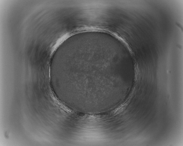 X0000100371365200806201618