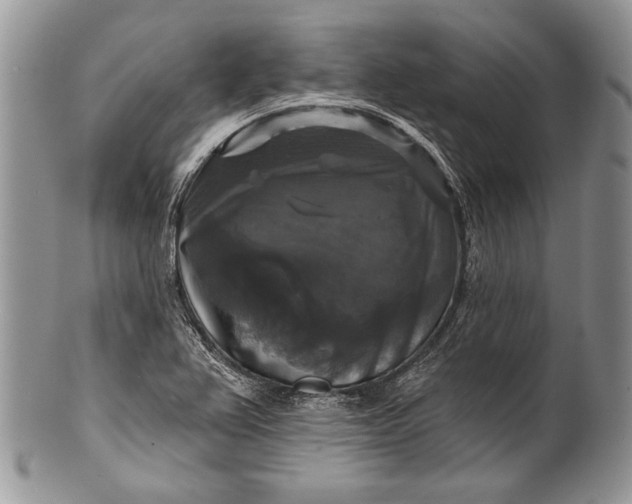 X0000100371367200806201618