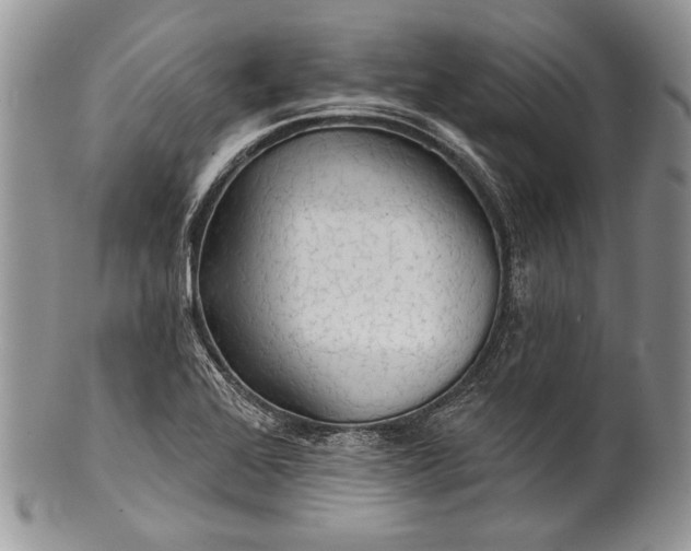 X0000100371368200806201618