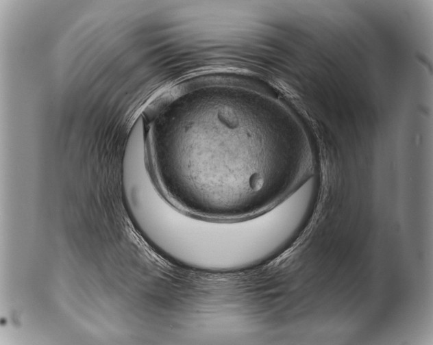 X0000100371369200806201618