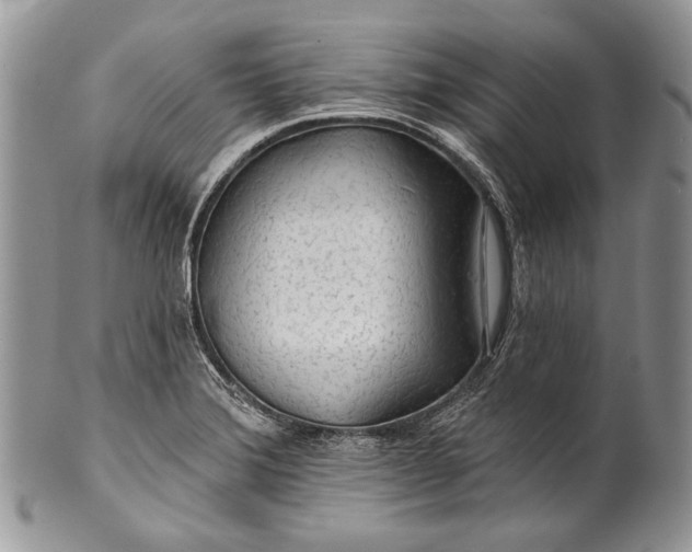 X0000100371372200806201618