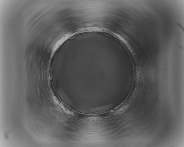 X0000100371373200806201618