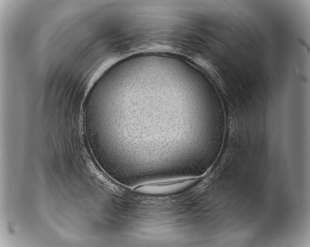 X0000100371374200806201618