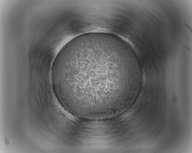 X0000100371375200806201618