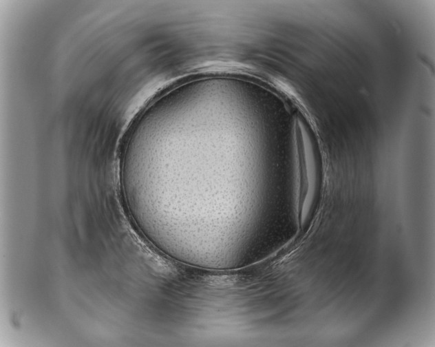 X0000100371376200806201618