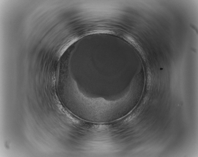 X0000100371377200806201617