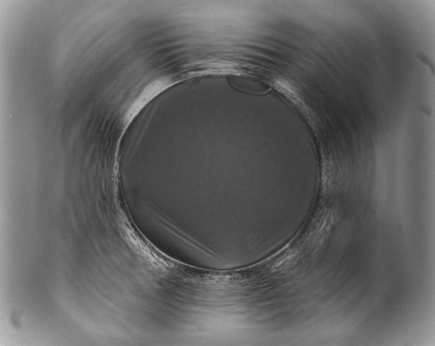 X0000100371378200806201617