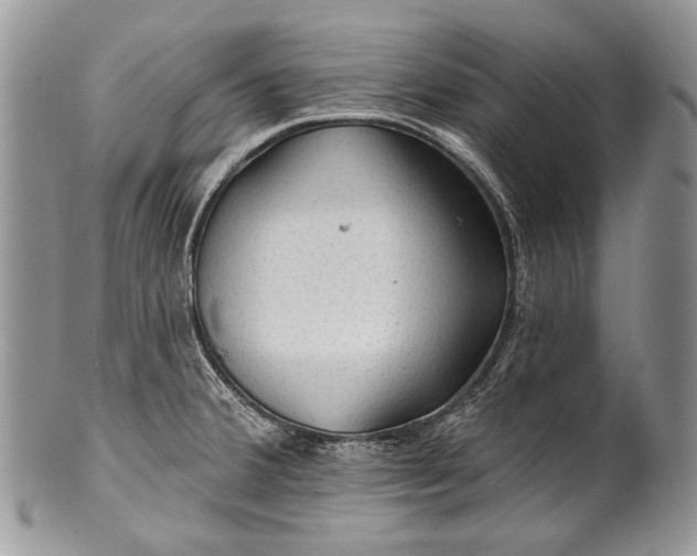 X0000100371380200806201617