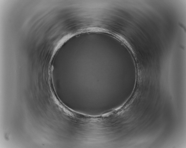 X0000100371381200806201617