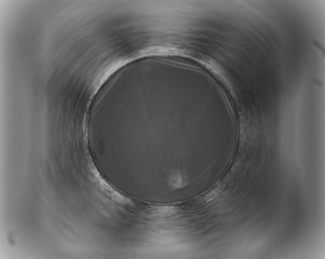 X0000100371382200806201617