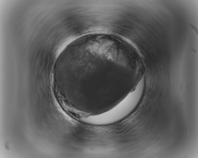 X0000100371383200806201617