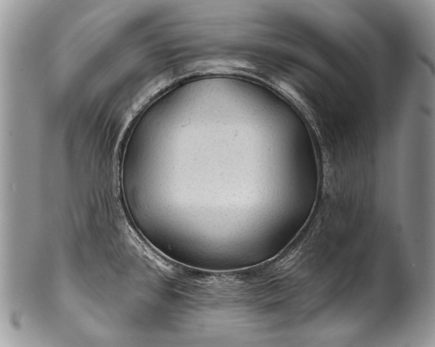 X0000100371384200806201617