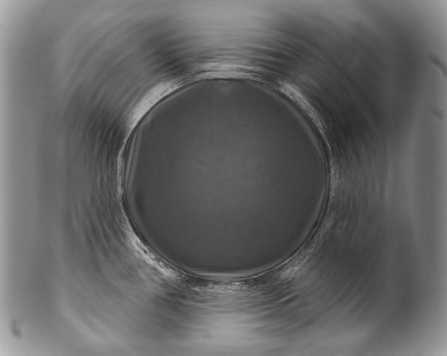 X0000100371386200806201617