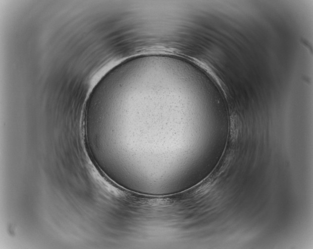 X0000100371387200806201617