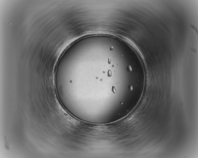 X0000100371388200806201617