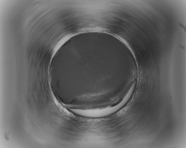 X0000100371389200806201617