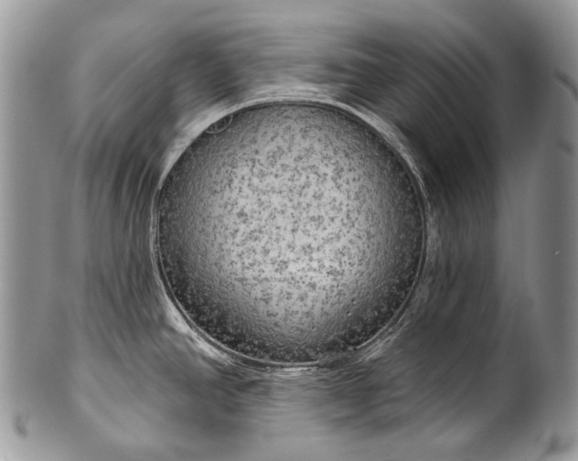 X0000100371390200806201617