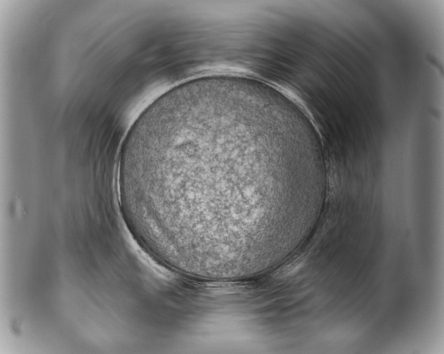 X0000100371391200806201617